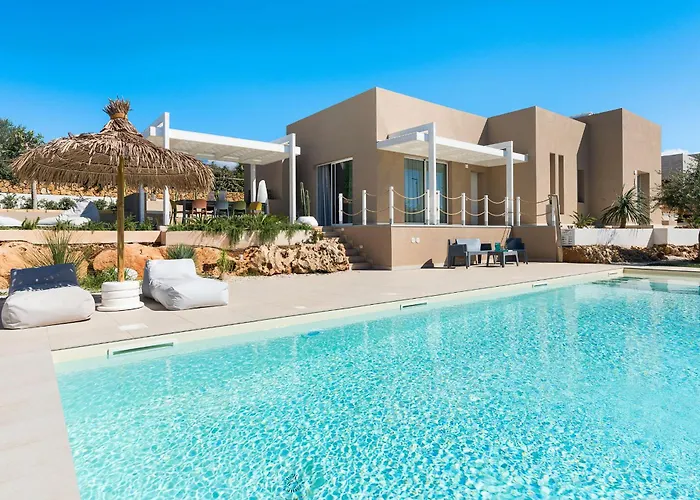 Castalia 库斯托纳奇